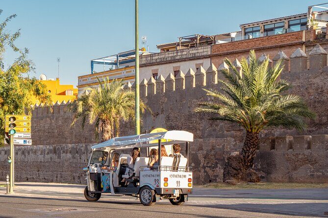 Express Tour of Seville in Private Eco Tuk Tuk - From the Triana Bridge Into Triana’s Food and Craft Streets