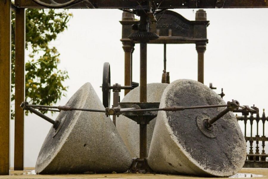 From Seville: Olive Oil Farm Tour - Key highlights that matter
