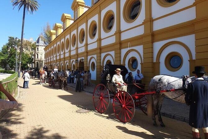Jerez and Cadiz Day Trip from Seville - Logistics and On-Time Reality: Why the Bus Matters