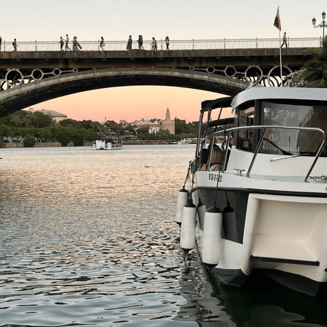 Private boat trip on the Guadalquivir - The Guadalquivir Route: From San Telmo to Isla La Cartuja