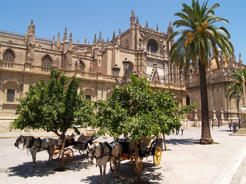 Seville: Alcázar Guided Palace Tour with Priority Access - Should you book this Alcázar priority guided tour?