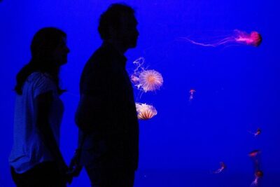 Seville Aquarium Admission Ticket - The Five Themed Areas: What Each Stop Feels Like
