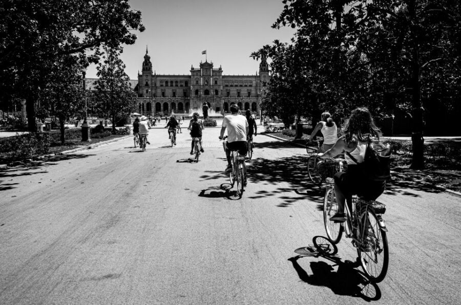 Seville: City Sightseeing and Local Culture Bike Tour - San Telmo Palace: where the tour adds texture