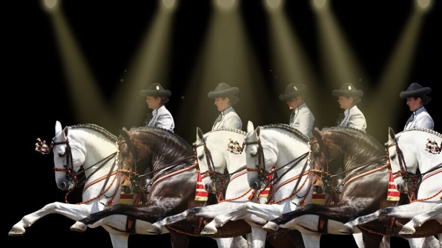 Seville: Horse's Show Entry Ticket. Optional Stud Farm Visit - Value check: is it worth the trip outside Seville?