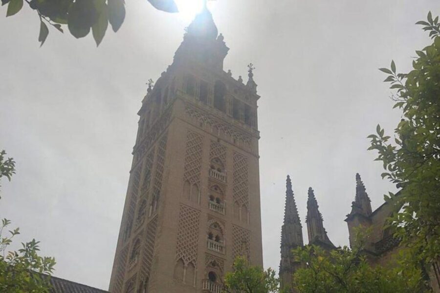 Seville : Jewish Quarter & Santa Cruz Walking Tour - Puerta de Jerez and Torre del Oro: City Change in One Stretch