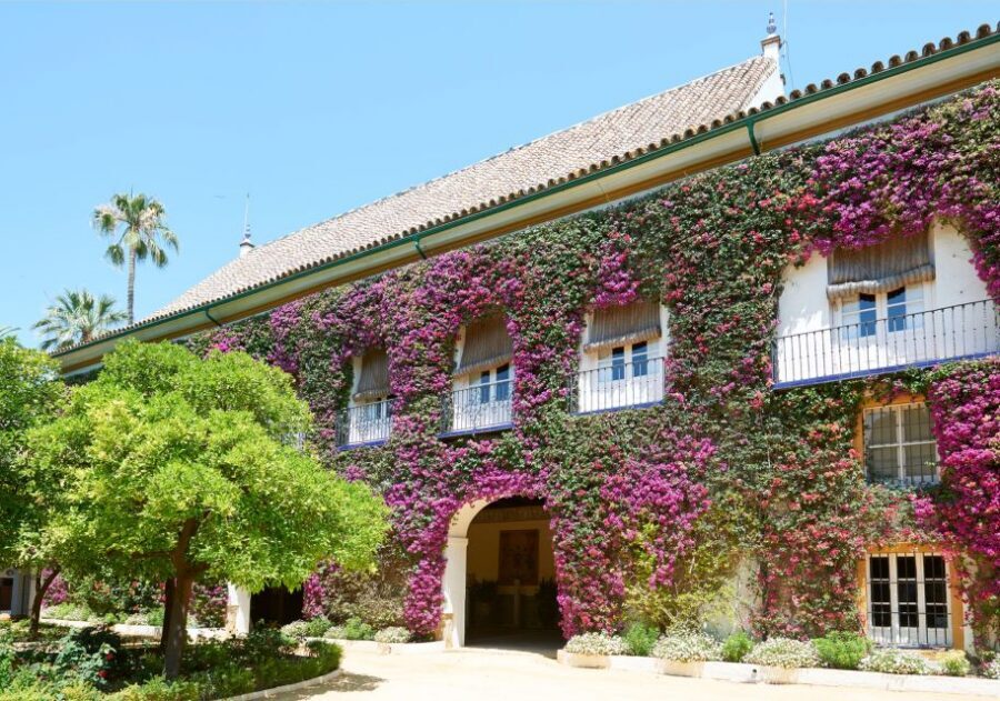 Seville: Palacio de Las Dueñas Entry Ticket and Guided Tour - Inside the Alba story: fine art, historic rooms, and famous names