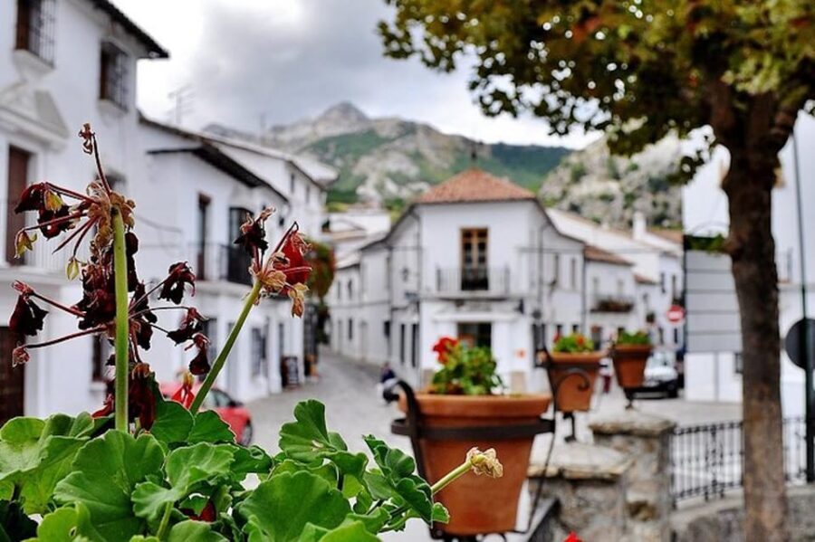 The Villages of Andalusia: Full-Day Trip from Seville - Walking, timing, and comfort on a true 9-hour day