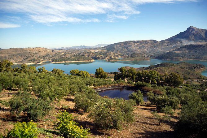 White Villages and Ronda Day Tour from Seville - Key things that make this tour worth your time
